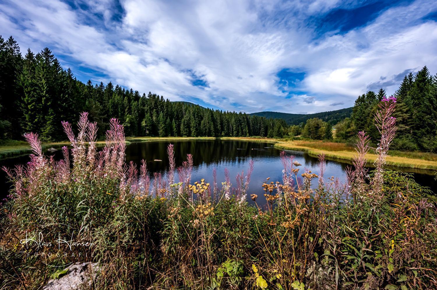 Apartament Fewo Sunneschii, Hoechenschwand, Dorf Am Himmel, Sauna Im Haus Zewnętrze zdjęcie