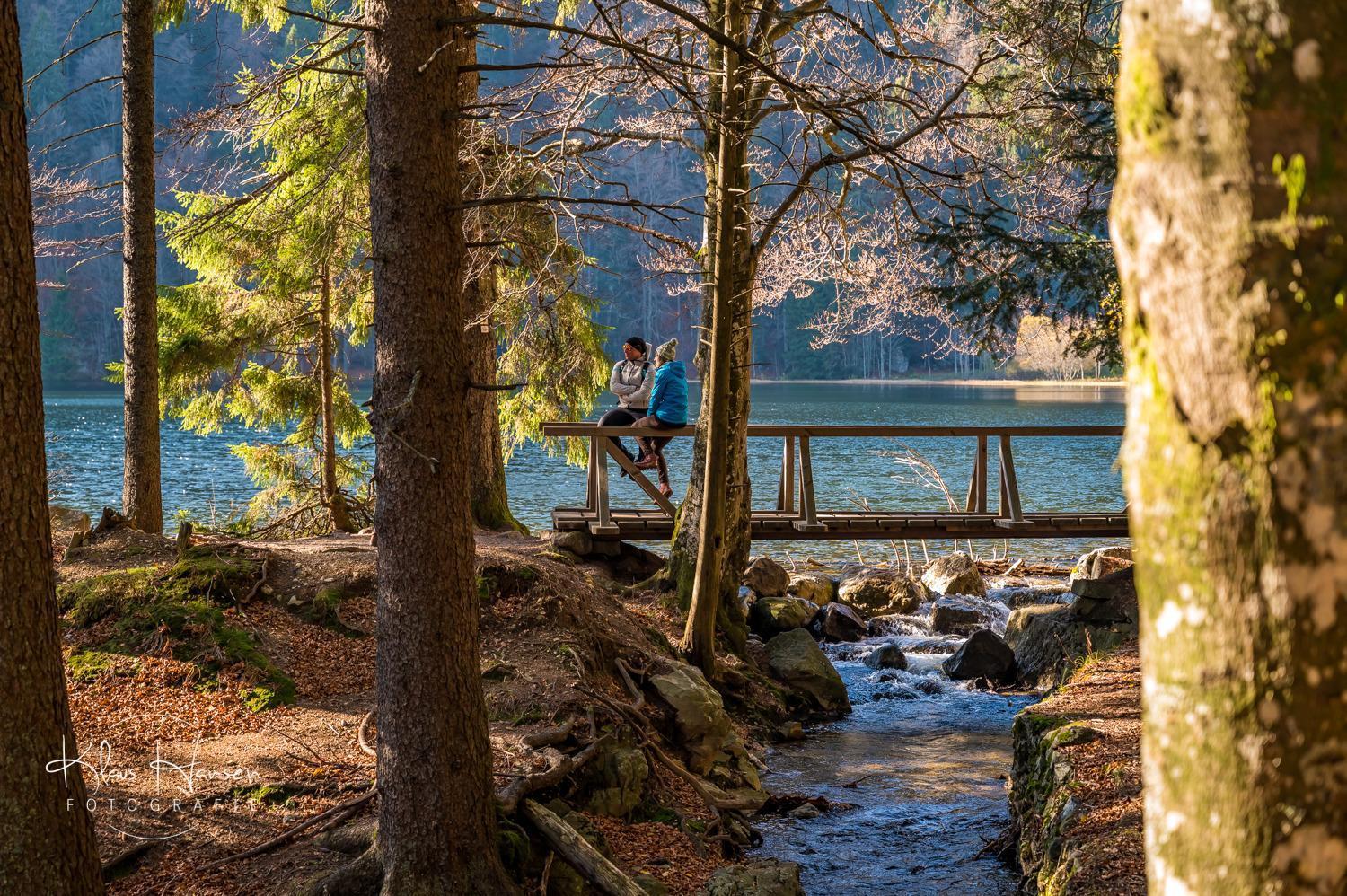 Apartament Fewo Sunneschii, Hoechenschwand, Dorf Am Himmel, Sauna Im Haus Zewnętrze zdjęcie