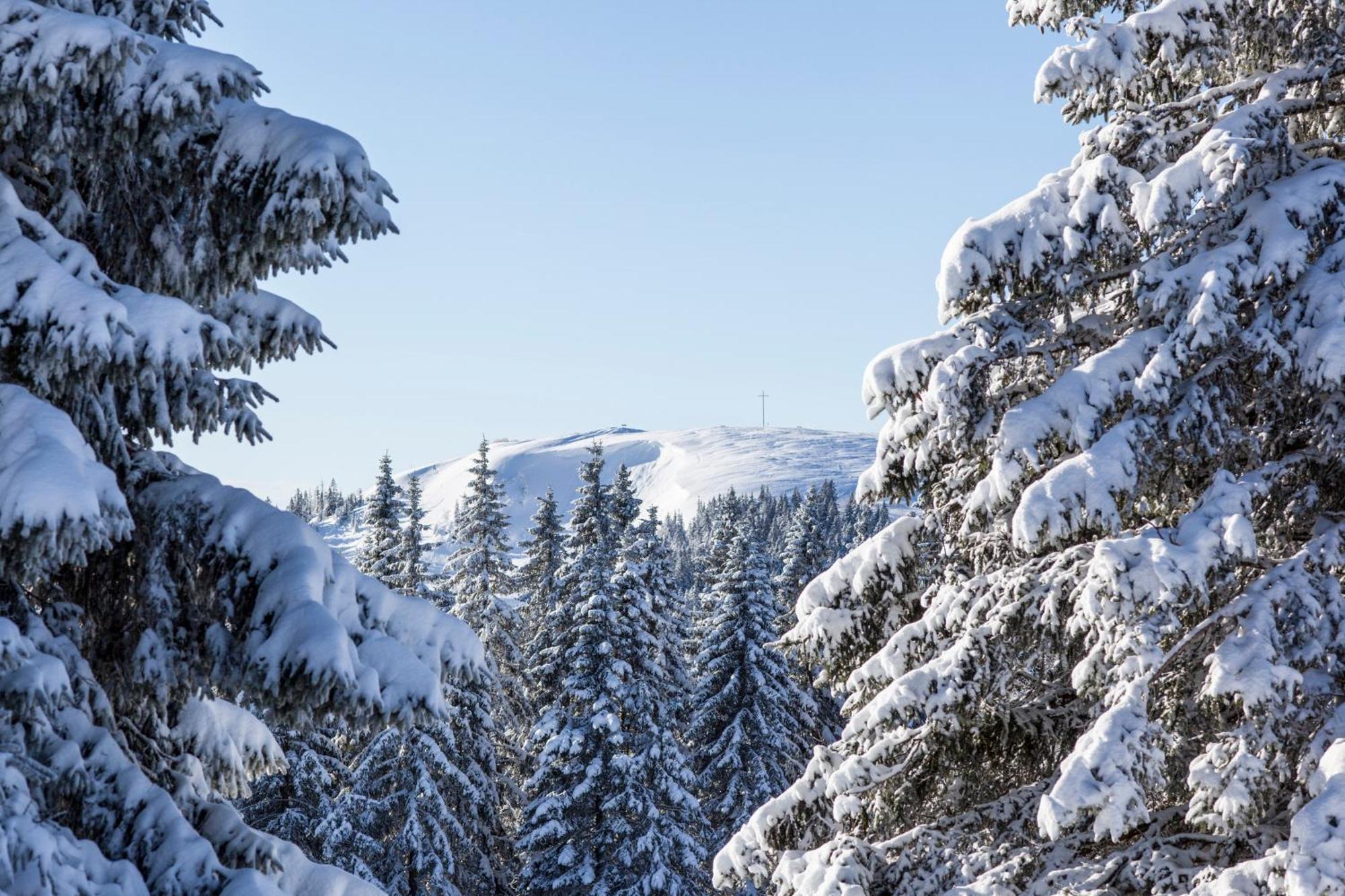 Apartament Fewo Sunneschii, Hoechenschwand, Dorf Am Himmel, Sauna Im Haus Zewnętrze zdjęcie